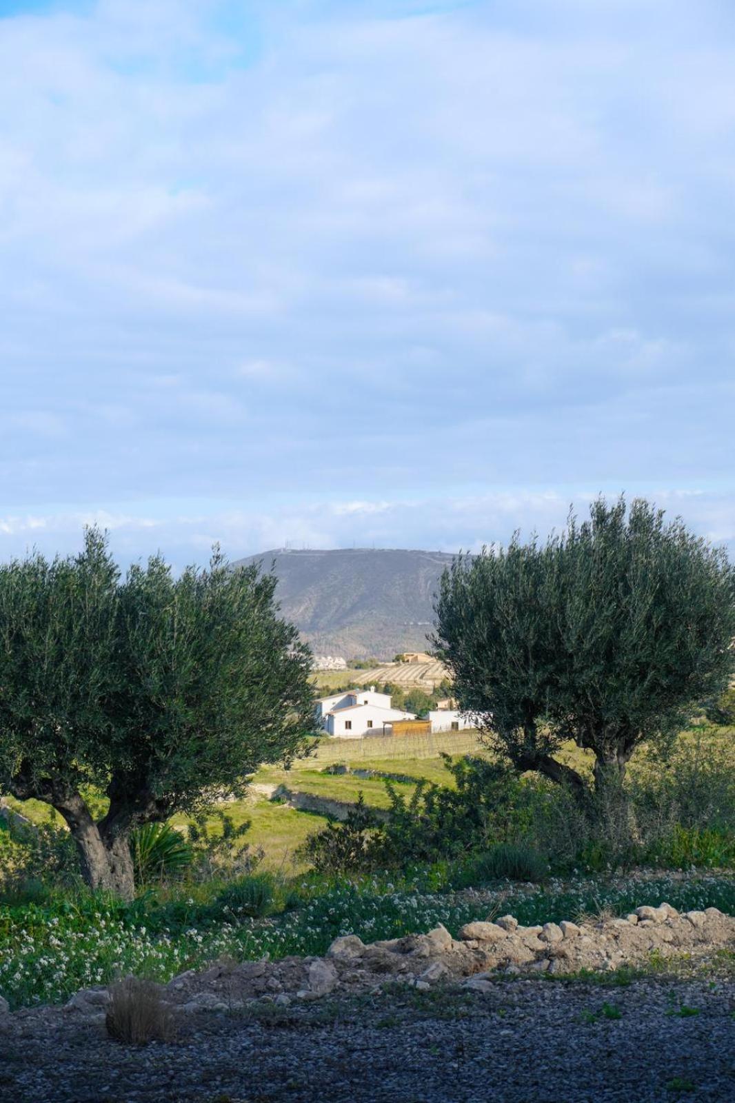 Hotel Finca Olivar Benissa Eksteriør billede