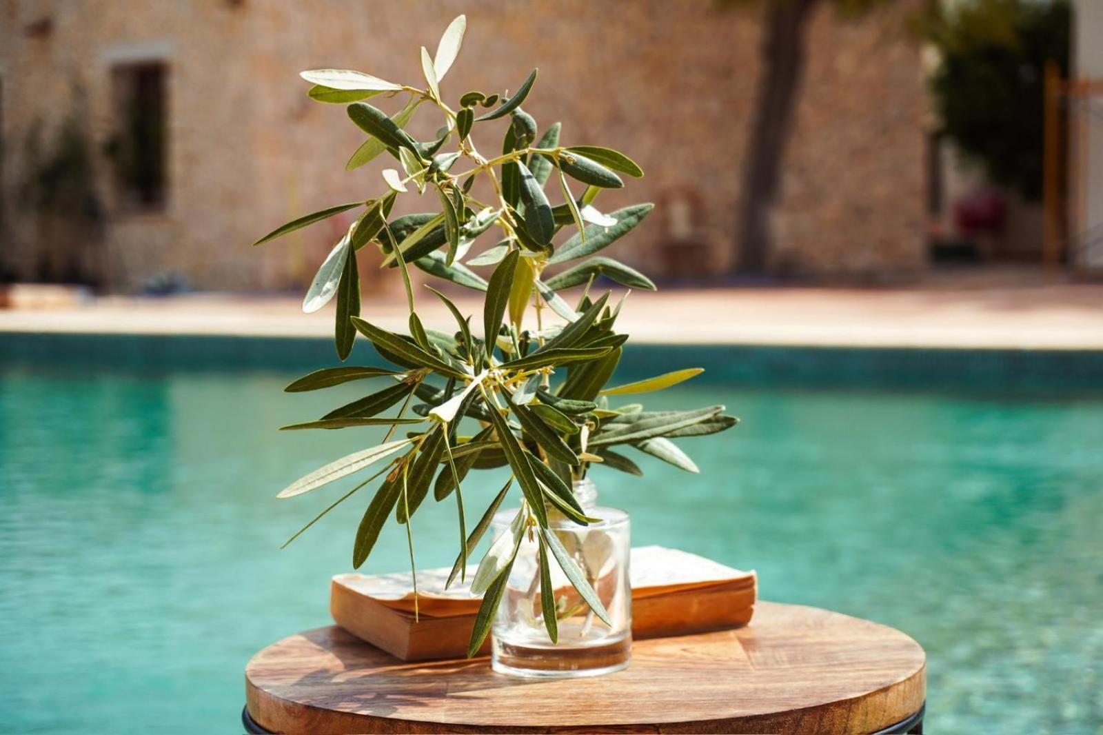 Hotel Finca Olivar Benissa Eksteriør billede