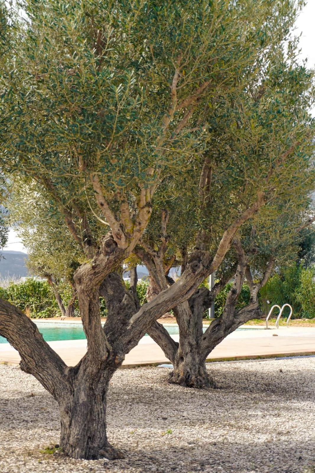 Hotel Finca Olivar Benissa Eksteriør billede