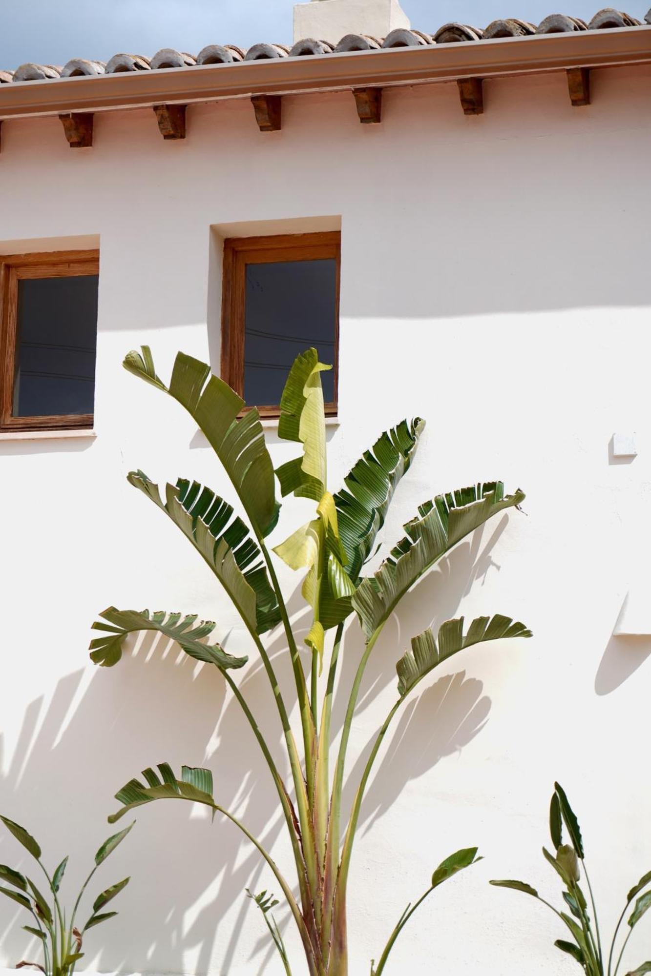 Hotel Finca Olivar Benissa Eksteriør billede